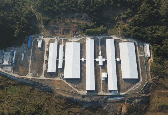 Aktueller Firmenfall über 500 Säue bewirtschaften in den Philippinen