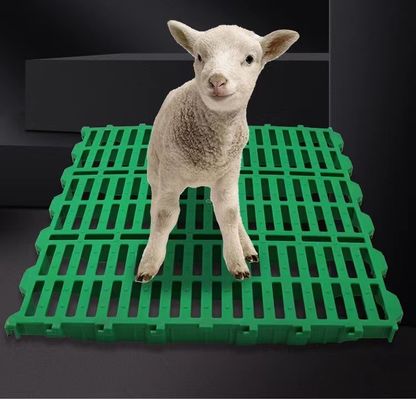 Sheep Farm Pure PP Plastic Slatted Floor Washable Easy To Install