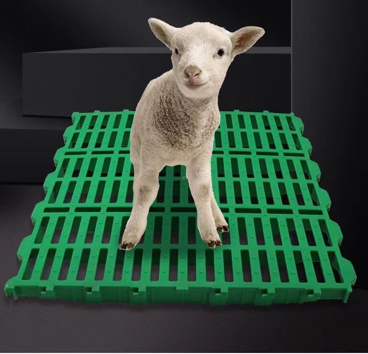 Sheep Farm Pure PP Plastic Slatted Floor Washable Easy To Install